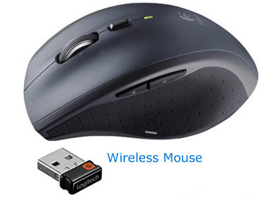What is Mouse