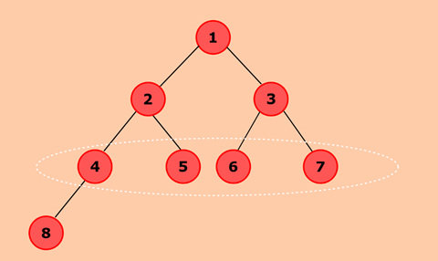 Java program to find maximum width of a binary tree