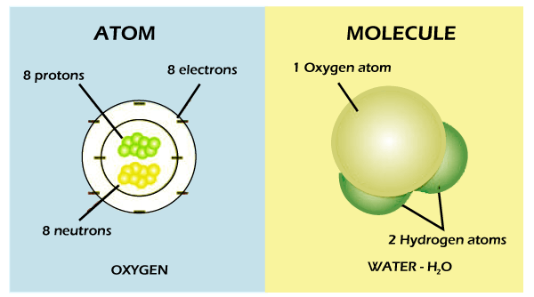 Difference between atoms and molecules