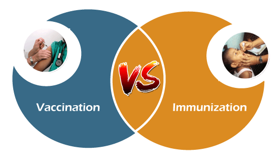 Vaccination vs Immunization