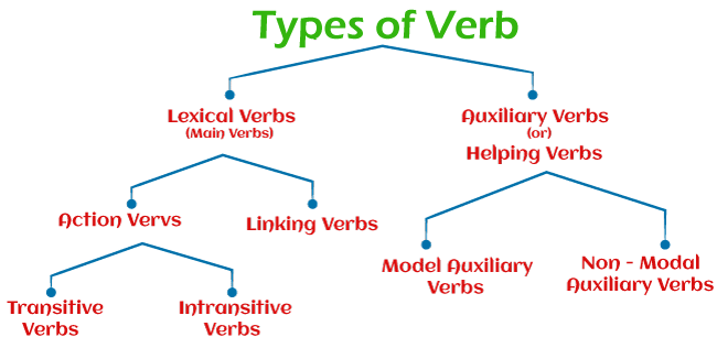 Types of Verb