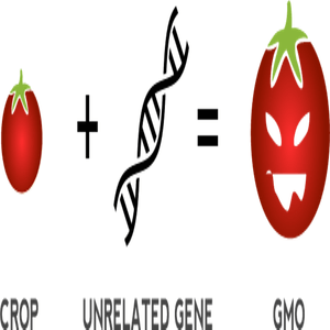 GMO full form