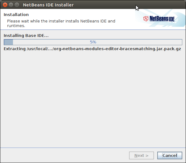 Software Netbeans 10