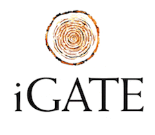 IGATE Interview Questions