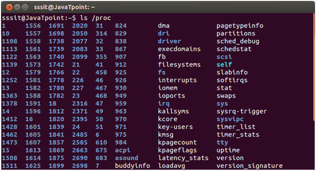 Linux fhs Memory Directory