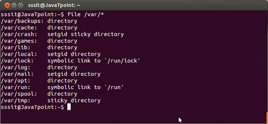Linux file directory