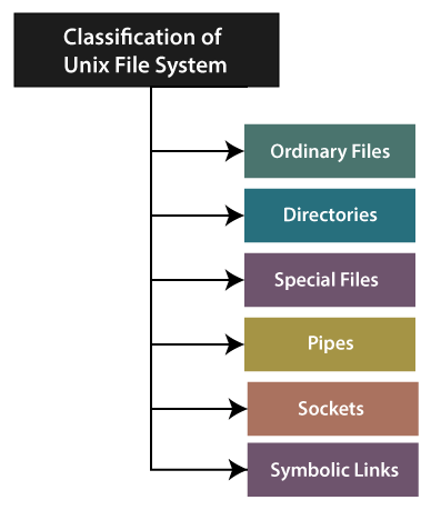 Types of Files in Unix