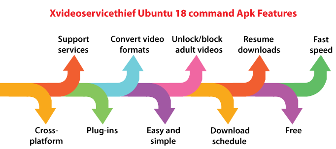 X videoservicethief Ubuntu 18 command