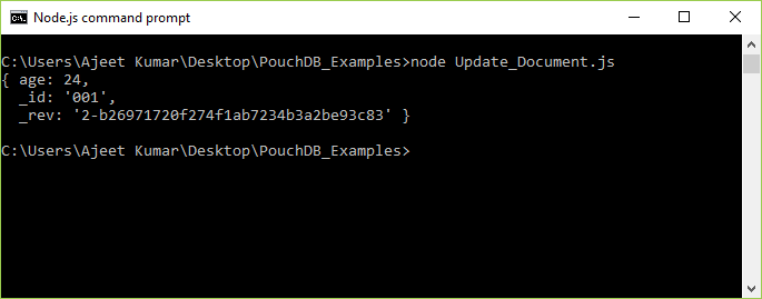 PouchDB Update document 1
