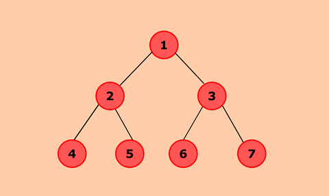 Program to implement Binary Tree using the linked list