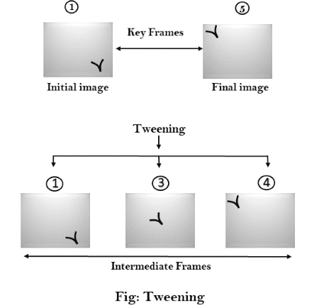 Animation Functions