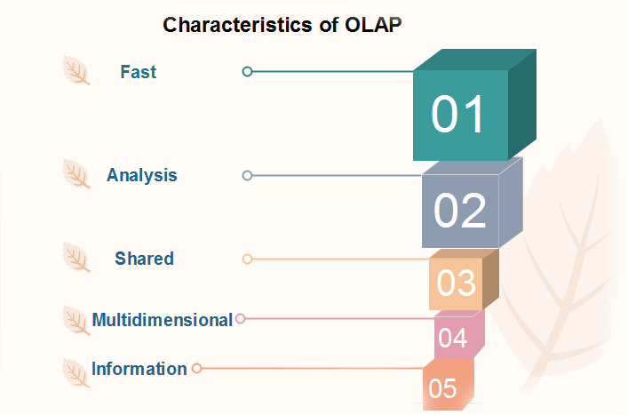 What is OLAP
