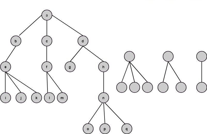 Discrete Mathematics Introduction of Trees