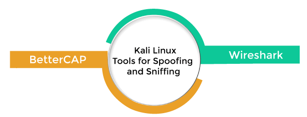 Kali Linux Tools List