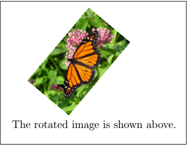 Latex Images
