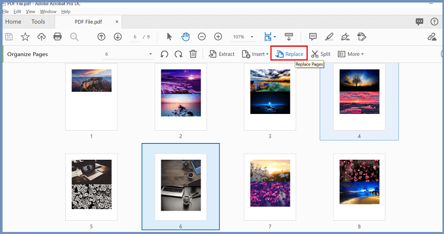 Add Pages in PDF