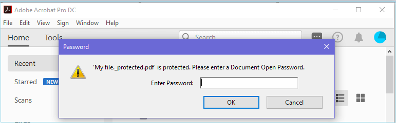Password Protect PDF