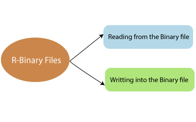 R Binary File