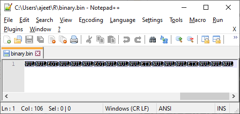 R Binary File