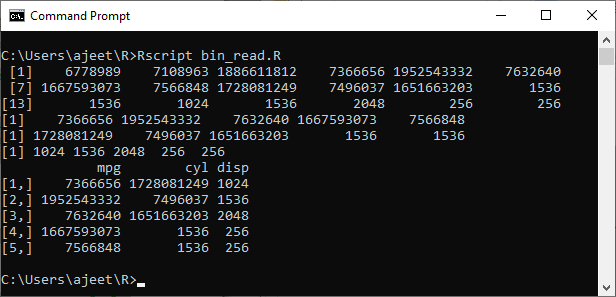 R Binary File