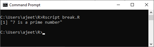 R Break statement