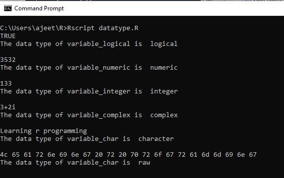 R Programming Data Types