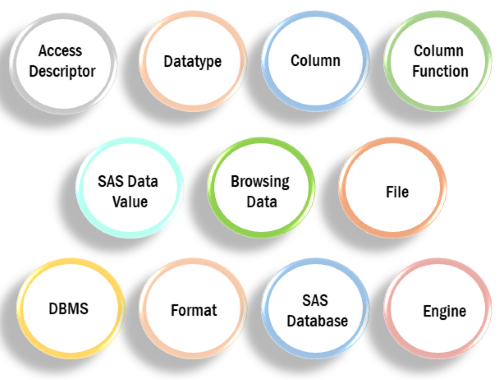 SAS Terminology