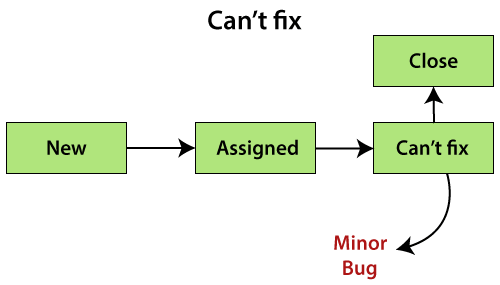 Bug Life cycle