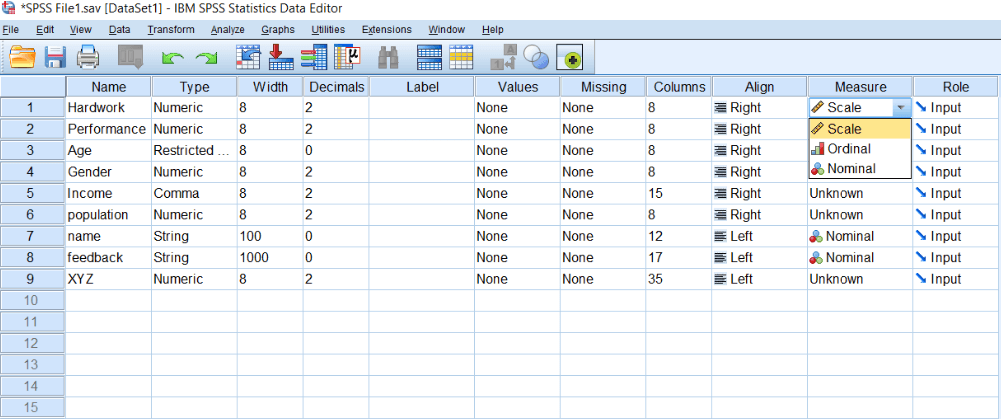 Scale of Measurement in SPSS