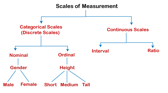 Scale of Measurement in SPSS