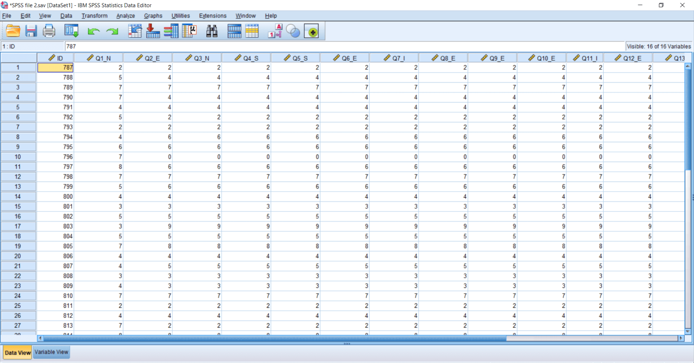 SPSS Recode Variable