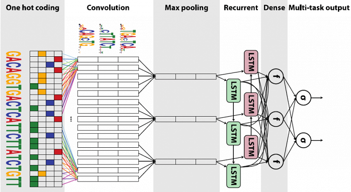 Training of RNN in TensorFlow