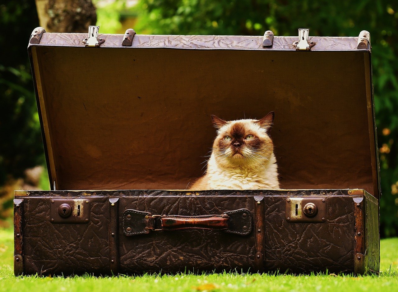 luggage-1643010_1280
