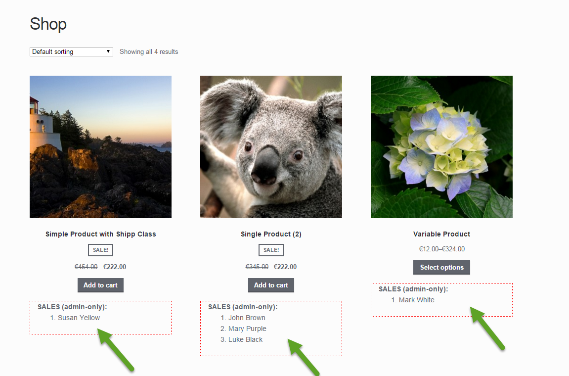 WooCommerce: Show Sales to the Admin on the FrontEnd
