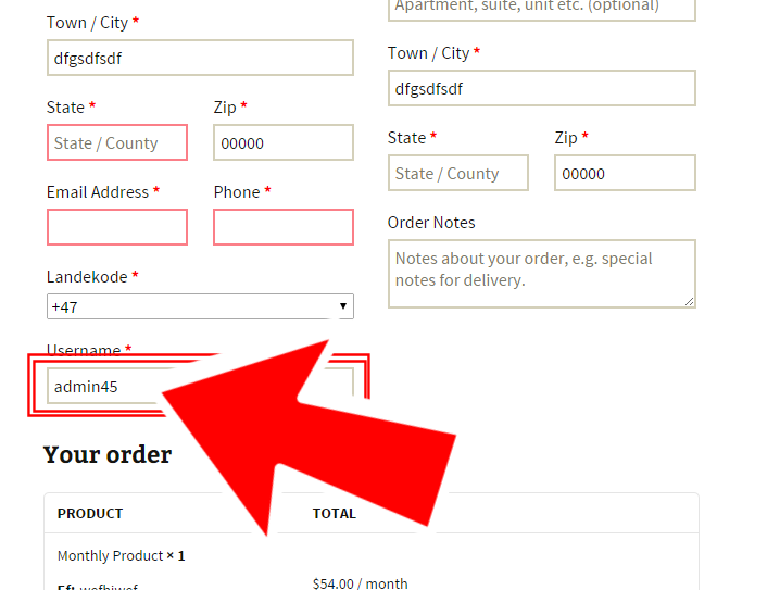 WooCommerce: how to get the current user username