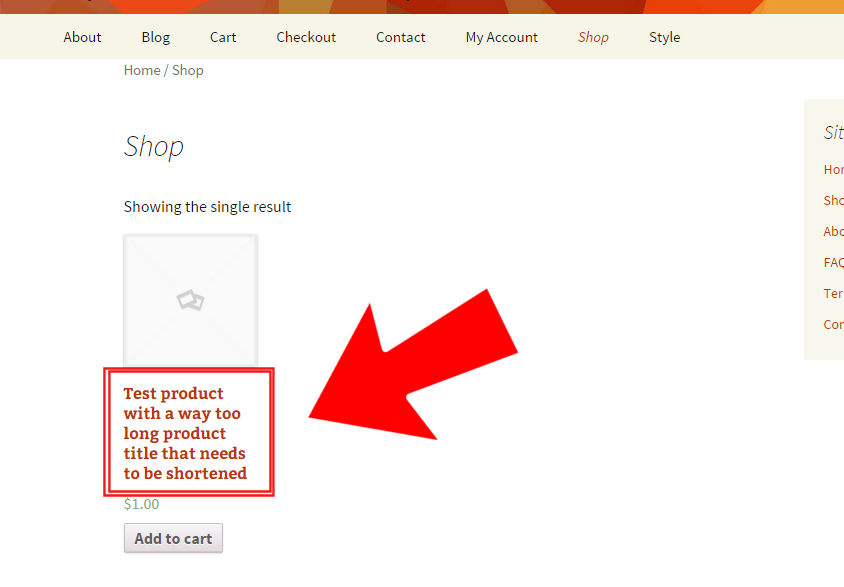 WooCommerce. shorten product title on the shop page