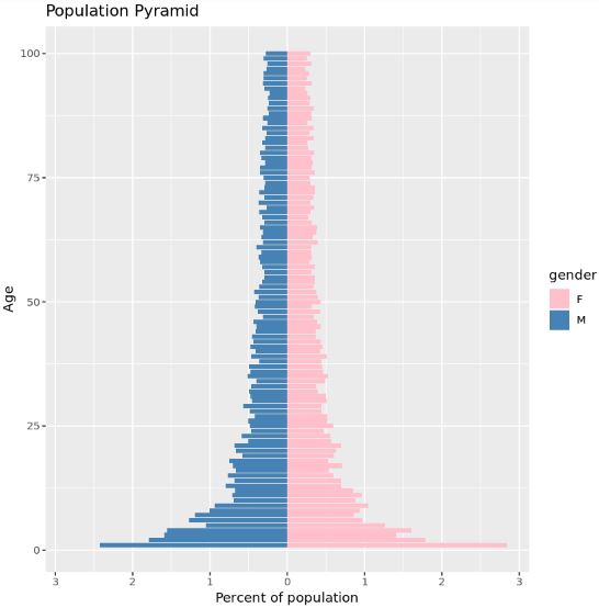 Population pyramid in R with custom colors